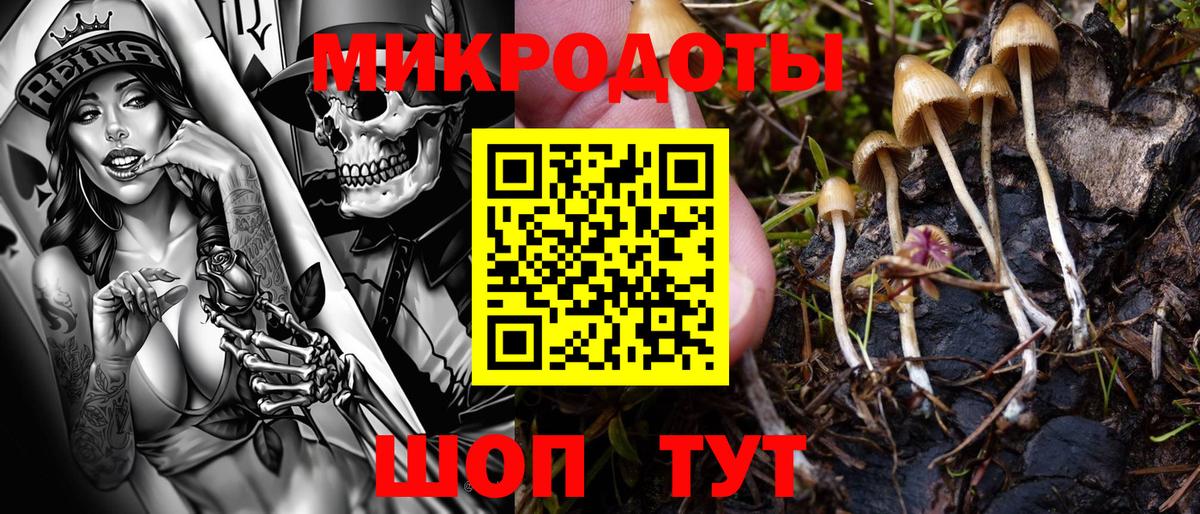 Сорочинск  Галлюциногенные грибы прущие грибы  Вход с VPN 