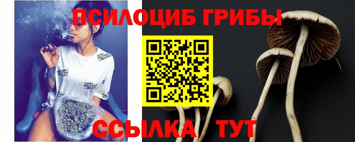 Галлюциногенные грибы Magic Shrooms Сорочинск